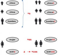 /album/lessico-vario-per-immagini/a65189-470571039648142-1193242559-n-jpg/
