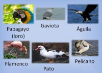 /album/lessico-vario-per-immagini/a69636-492506244121288-1446835195-n-jpg/