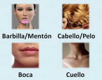 /album/lessico-vario-per-immagini/a224914-481351328570113-1566496137-n-jpg/