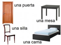 /album/lessico-vario-per-immagini/a305333-479732535398659-65864819-n-jpg/