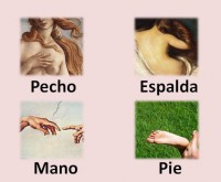 /album/lessico-vario-per-immagini/a417985-482232158482030-212726054-n-jpg/